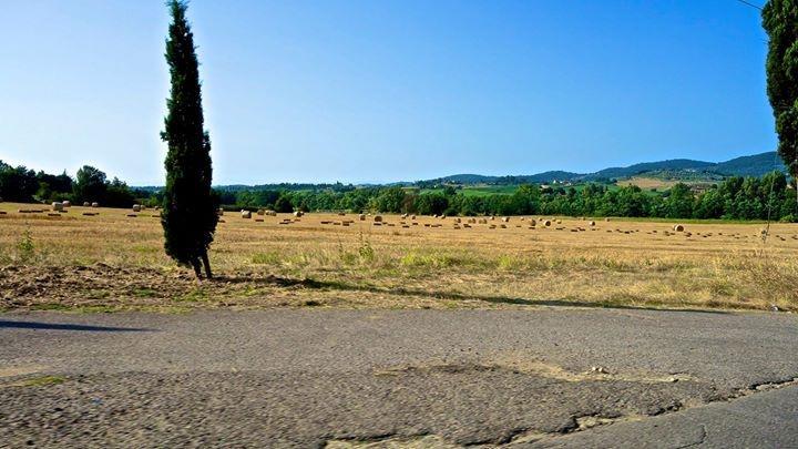 Appartamento Old England in Chianti Montespertoli Esterno foto